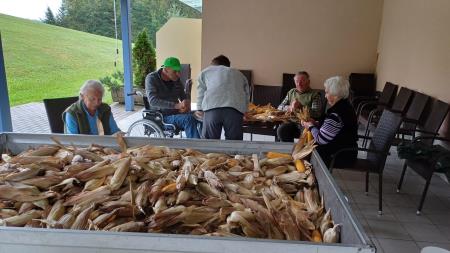 V Domu Taber je več kot 40 stanovalcev ličkalo koruzo  1